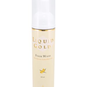 Foam Wash (Reinigung)